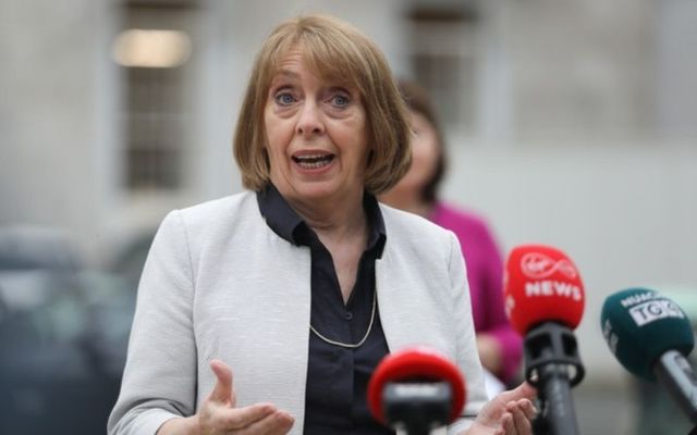 Social Democrats co-leader Róisín Shortall. 