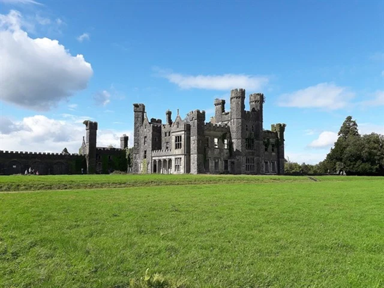 Ireland’s most “at risk” historic building must be saved
