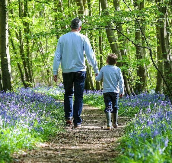 Fostering children was huge in ancient Ireland 2,500 years ago