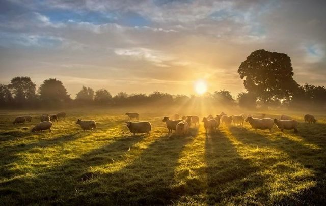 Early morning in Markethill, Co Armagh, Northern Ireland.