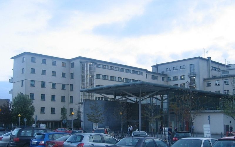 Tragedy as elderly farmer killed by newly-calved cow in Mayo