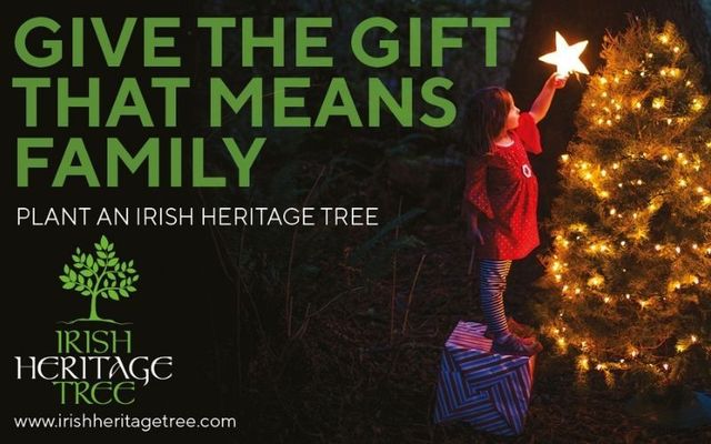 Leave no trace this Christmas by planting an Irish Heritage Tree 