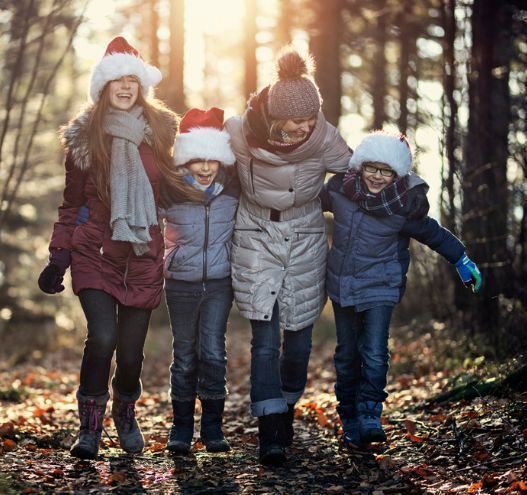 This Christmas give a gift that will last a lifetime by planting an Irish Heritage Tree