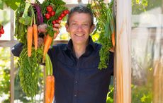 Irish green guru doles out top tips for a sustainable Christmas