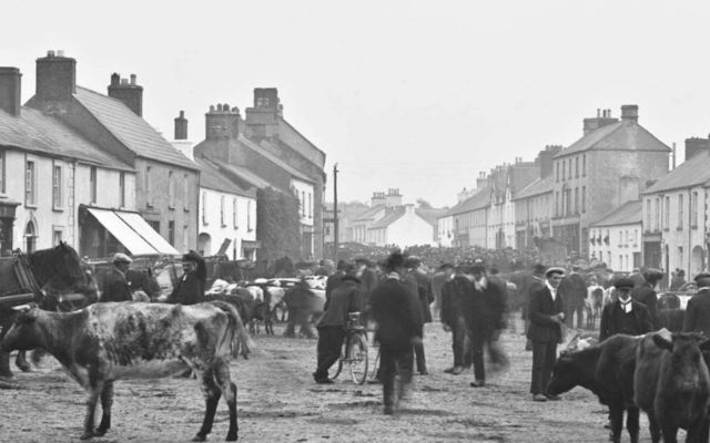 Cavan Townlands allows people to explore their 19th-century family heritage. 