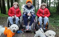 Roscommon parents make desperate Christmas plea for their three terminally-ill sons