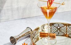 Perfect party Irish whiskey and gin cocktail recipes for Christmas