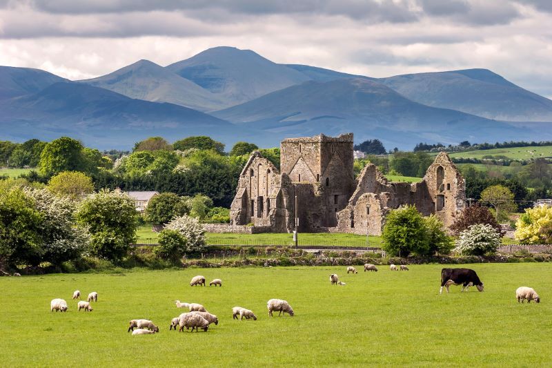 This Irish town has been named one of the 10 coolest places to go in the next 10 years