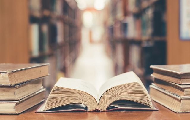 What Irish authors are in the running for the Dublin Literary Award?