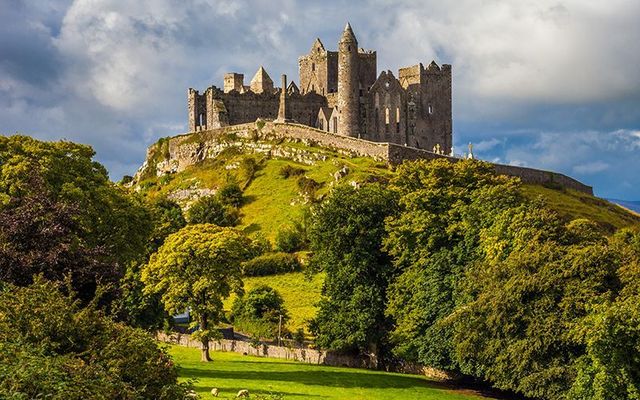 Rock of Cashel, County Tipperary: IrishCentral and the Tree Council of Ireland have secured a site in the magnificent Golden Vale, Tipperary. 