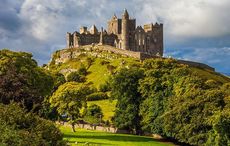 Connect with Bronze Age Ireland with Irish Heritage Tree