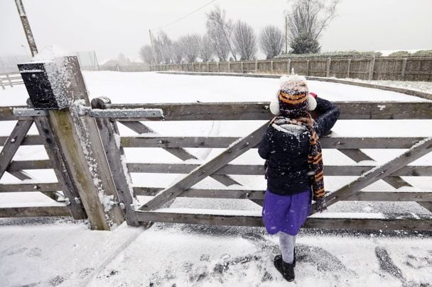 January 24, 2021: A snowy day in the Dublin Mountains.