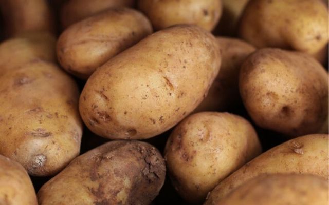 Genetically modified potatoes with improved resistance to blight.