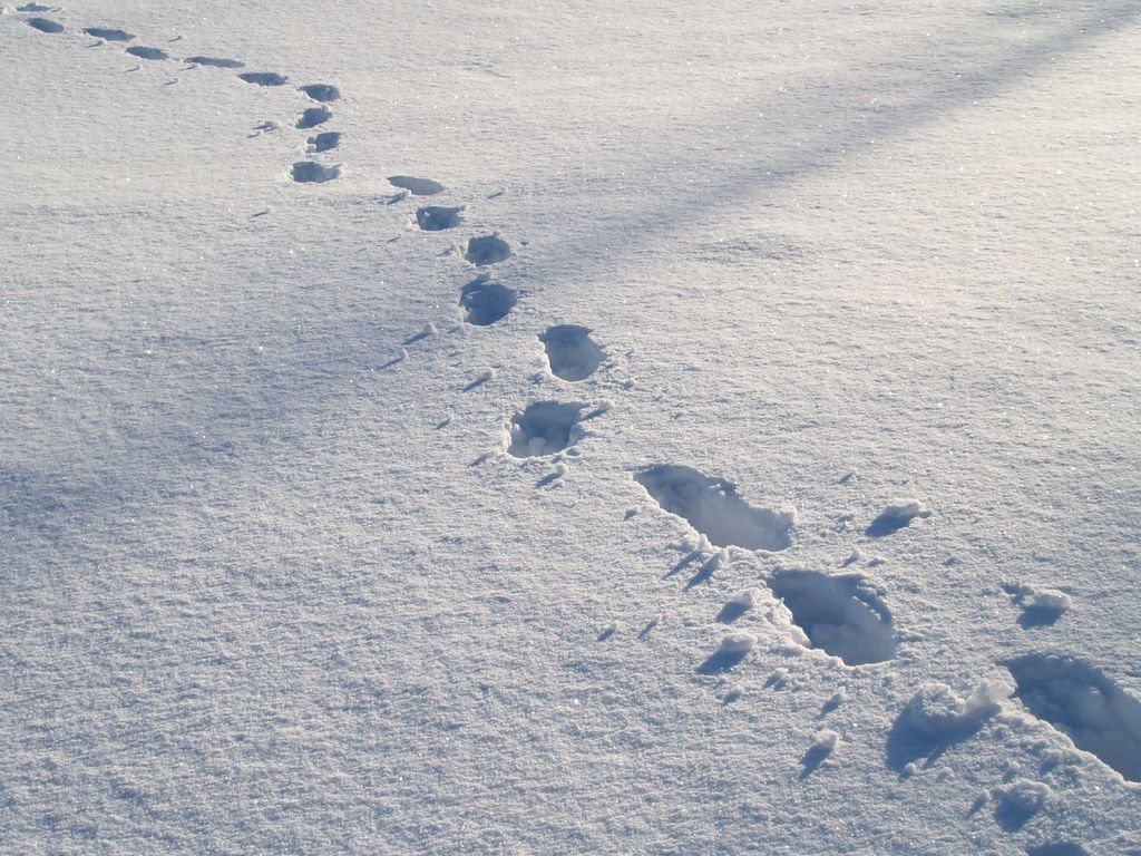 Boot prints in the snow - the solitary life of a lone immigrant