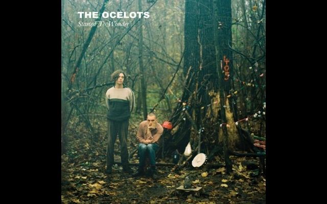 The cover of \"Started to Wonder\" by Irish musicians The Ocelots.