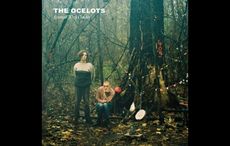 When nothing rhymes, Irish music and banter, even virtually, helps