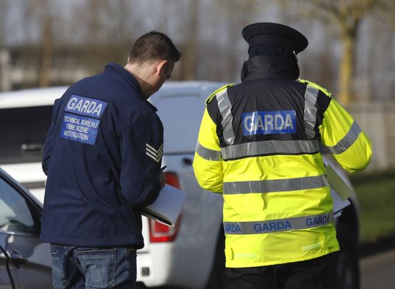 Police investigate: Three elderly brothers found dead in and around on Cork farm.