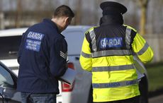 Third body found as North Cork farm double murder investigation evolves