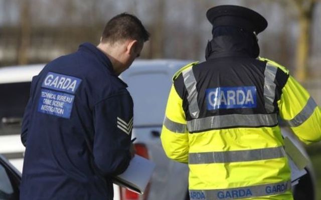 Police investigate: Three elderly brothers found dead in and around on Cork farm.