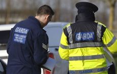 Gardaí believe Cork farmer killed his two brothers before killing himself