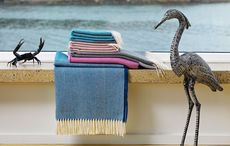 Meet the Irish Producer: McNutt of Donegal 