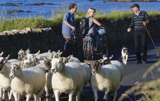 Talk like an Irish local: A local farmer on the Carrickmore Road, in Ballycastle, County Antrim, chats with some cyclists.