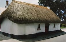 Locals battle to save 160-year-old Irish thatched cottage