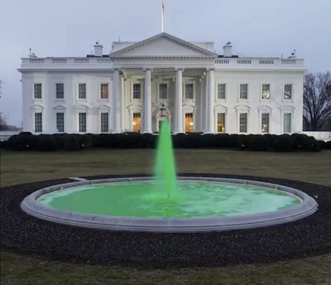 The White House goes green for St. Patrick\'s Day.