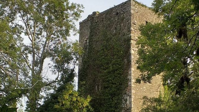 Vandals have damaged the 600-year-old castle 
