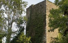 Locals battle to save Irish castle being destroyed by vandals