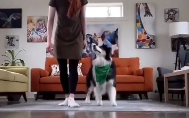 Secret and her owner Mary practiced their Irish dancing steps for St. Patrick\'s Day. 