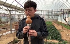 WATCH: Chinese musician performs famous Irish trad music on traditional Chinese instruments