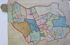 Discover your Irish family with Ancestor Network