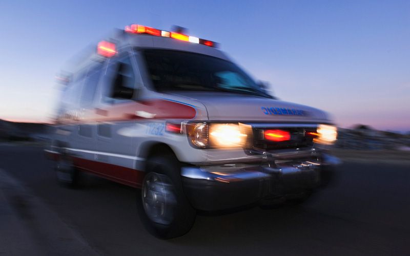 Brave Irish American cop’s dog inspires new EMS treatment law