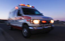 Brave Irish American cop’s dog inspires new EMS treatment law