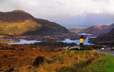 Killarney National Park sustains "horrendous" damage from three-day wildfire