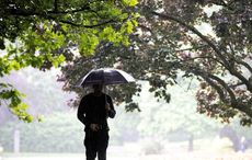 An emigrant's praise of Irish rain