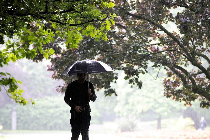 An emigrant's praise of Irish rain