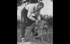 Mick the Miller: The most successful greyhound of all time