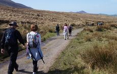 Seven Irish walks named among the best in Europe