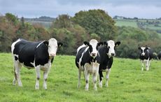 Problems loom over Ireland’s environmental goals