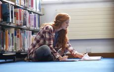 The painful education lesson for the Irish in America