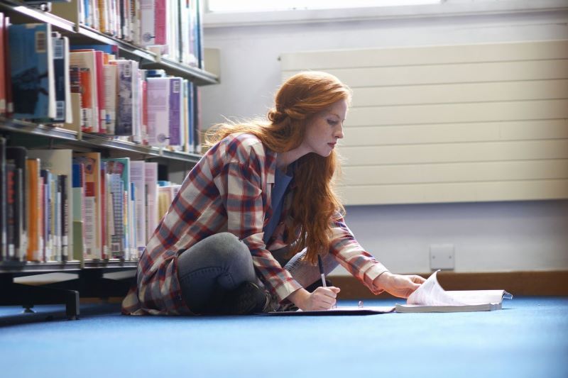 The painful education lesson for the Irish in America