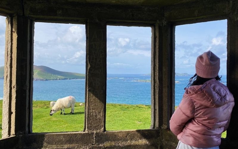 How to see Dingle like a local - food, coffee and sightseeing