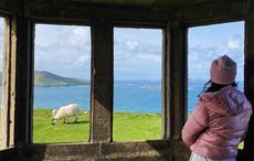 How to see Dingle like a local - food, coffee and sightseeing