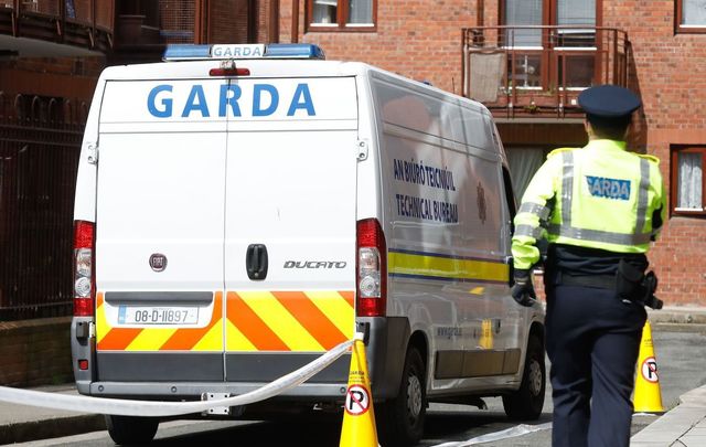 Gardai promptly responded to the tragic occurence in Clashmore, Co Waterford in the early hours of June 7.