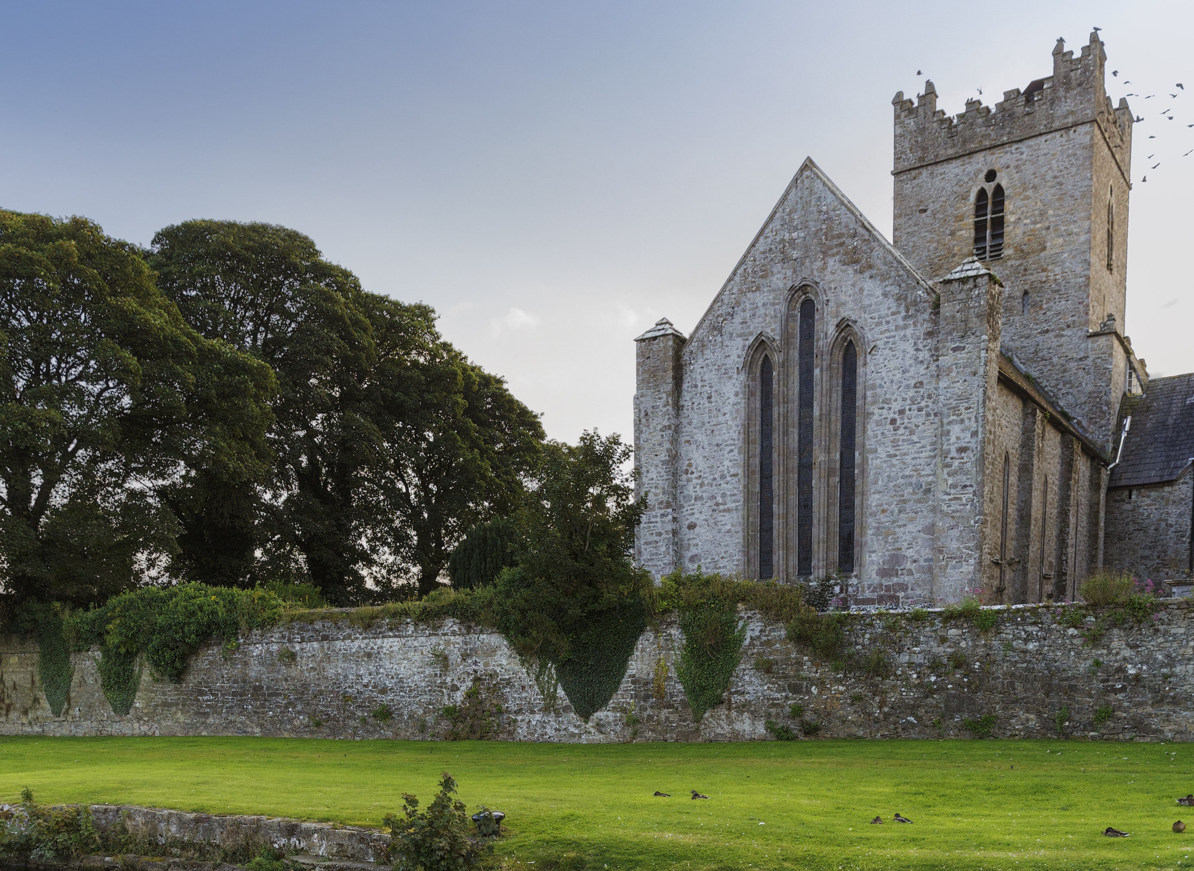 A beautiful man’s meanderings as Clare emerges from lockdown