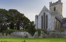 A beautiful man’s meanderings as Clare emerges from lockdown