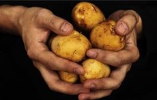 What are Syracuse Salt Potatoes and why are they getting a historic marker?