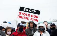 Ireland's fishermen and farmers fight the Brexit fallout
